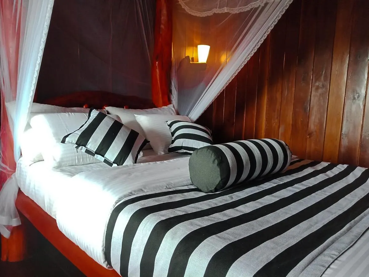 Chill Wood Homestay Ella