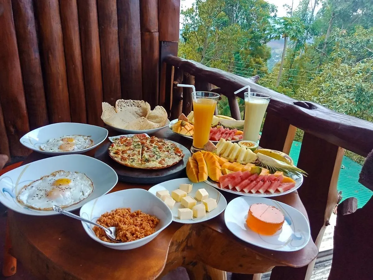 Chill Wood Homestay Ella