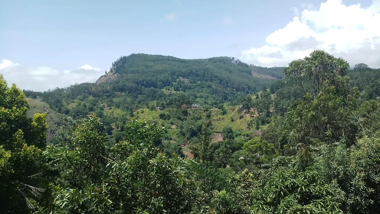 Chill Wood Homestay Ella 0*,